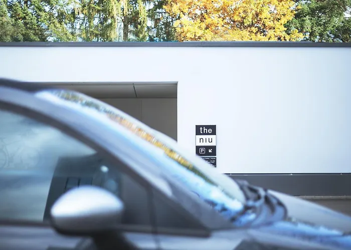 - The Niu, Air Frankfurt Messe By Ihg 酒店